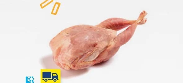 Extra quail