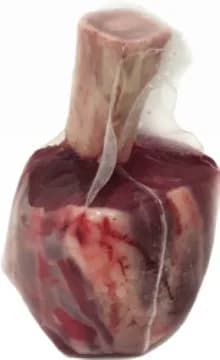 Beef hammer (shank)