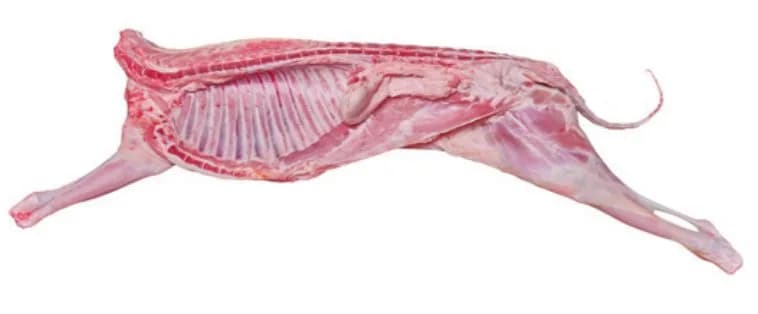 Half young lamb