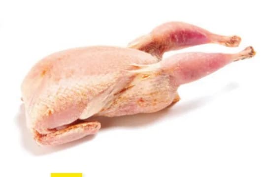 Extra partridge