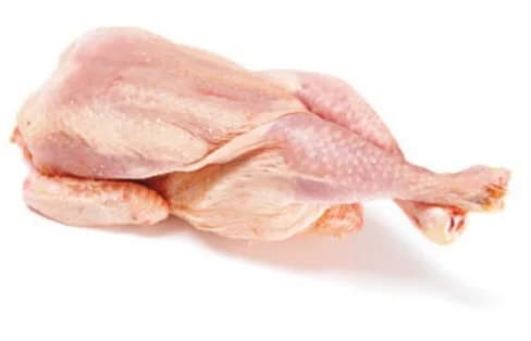 Coquelet (young chicken)