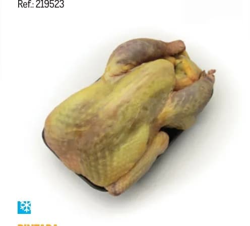 Guinea fowl