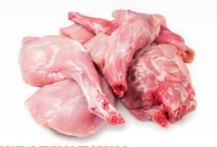 Fresh rabbit pieces and shoulders