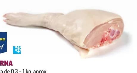 Suckling pig leg