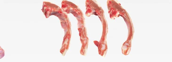 Kid goat chops