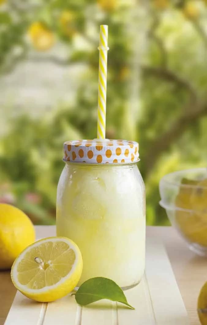 Bases frutales para sorbetes