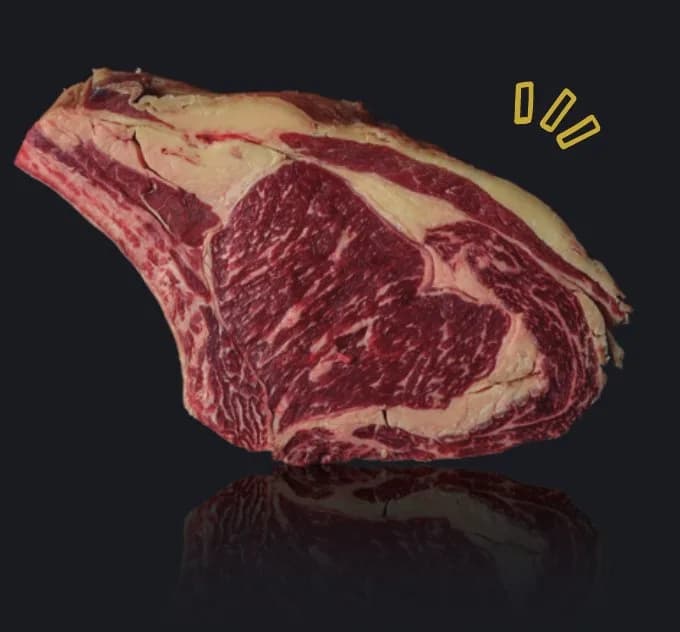 Selected T-bone rib steak