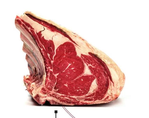 Bone-in Tudanca ox rib rack